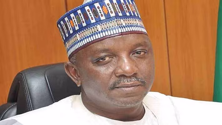 minister of power saleh mamman