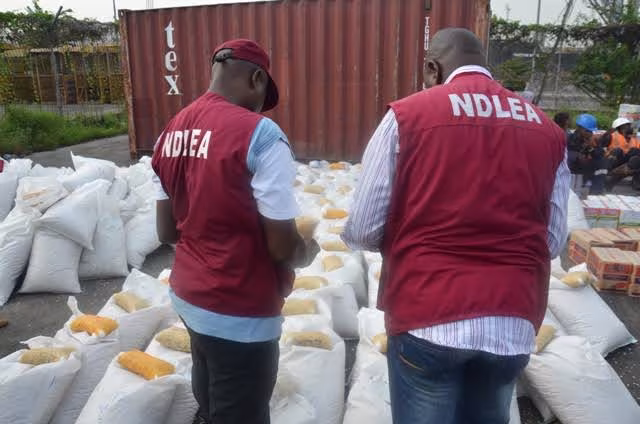 ndlea