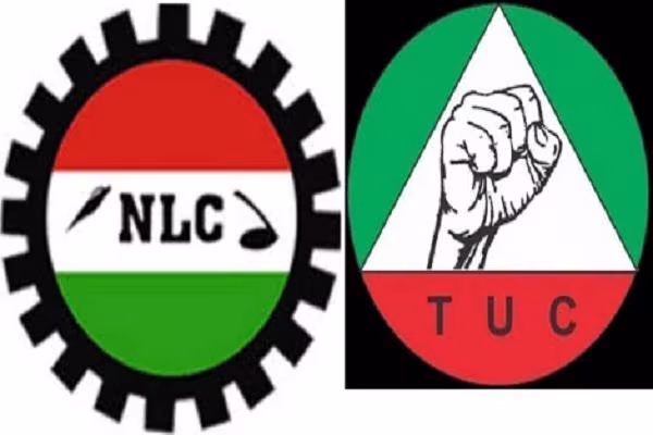 nlc tuc