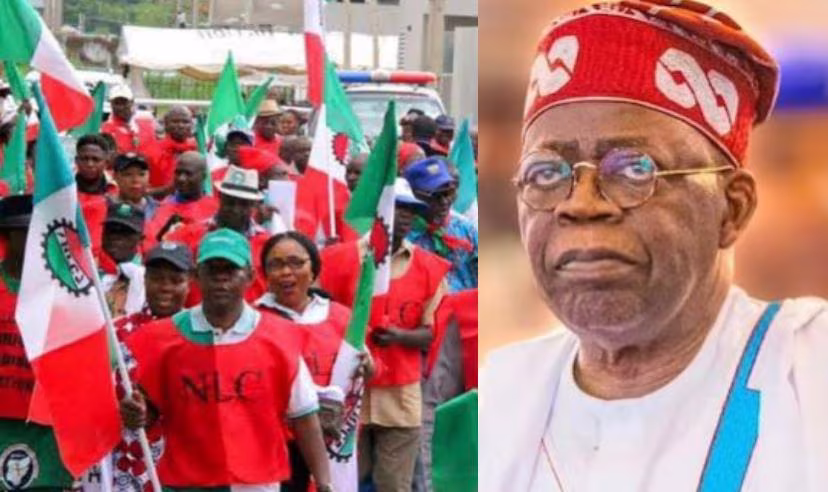 nlc tinubu